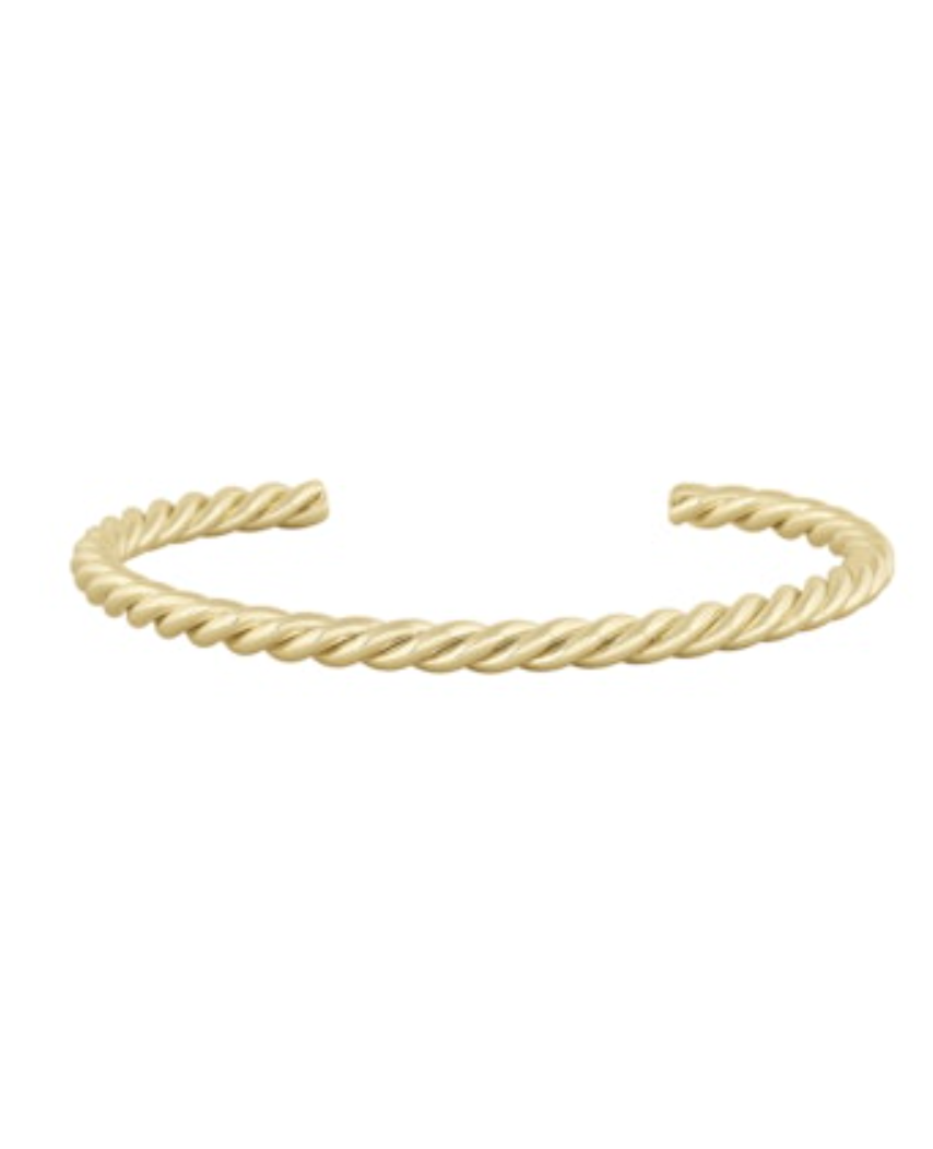 Electric Picks Cruise Bracelet