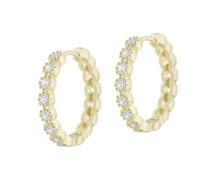 Electric Picks Sinatra Earrings